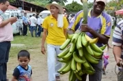 Feria agropecuaria en Tame, Arauca: Platanos de campesinos de Tame, en Arauca.